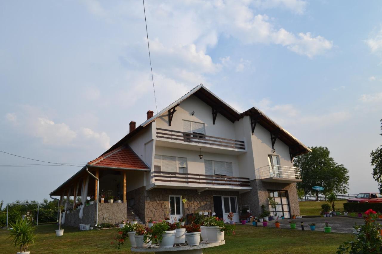 Odmor Na Selu Babajic Appartement Ljig Buitenkant foto