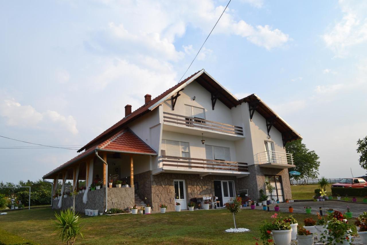 Odmor Na Selu Babajic Appartement Ljig Buitenkant foto