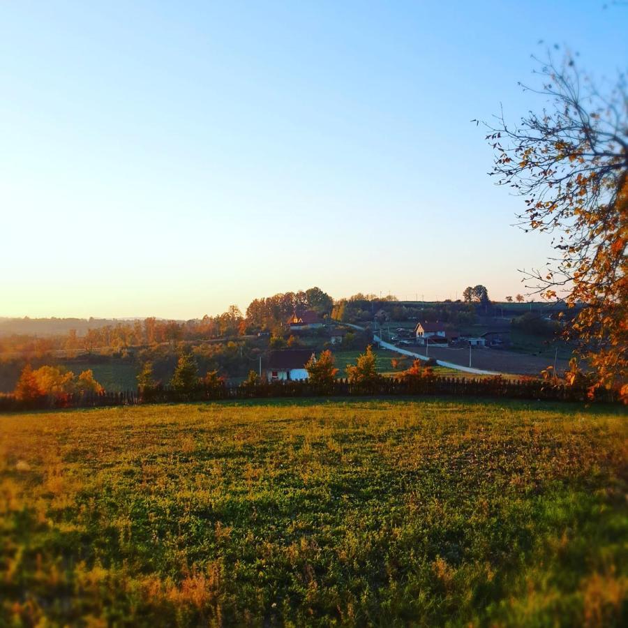 Odmor Na Selu Babajic Appartement Ljig Buitenkant foto
