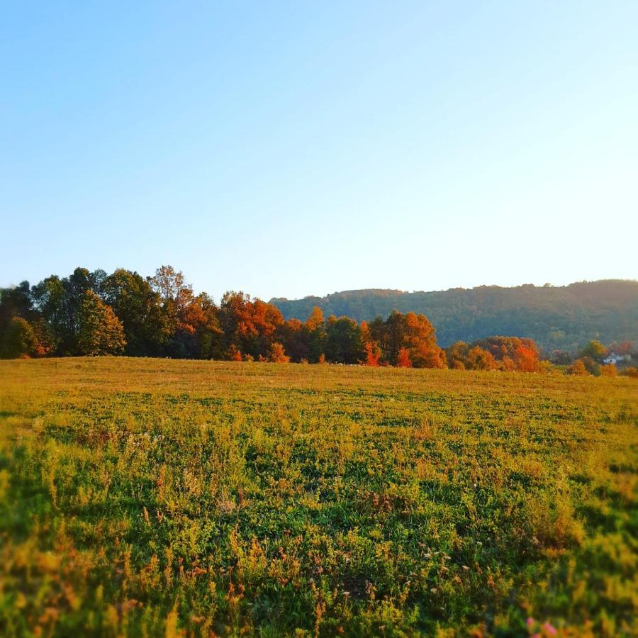 Odmor Na Selu Babajic Appartement Ljig Buitenkant foto